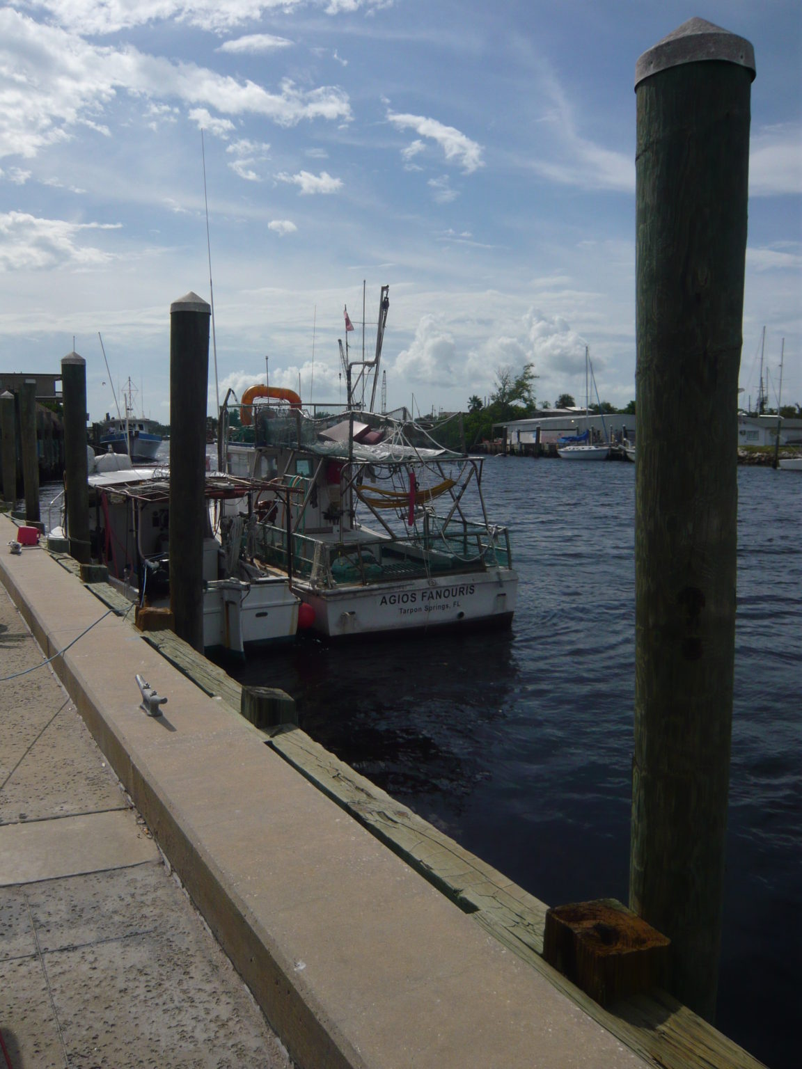 Tarpon Springs a Bit of Greece in Florida Susan's Sunny Days