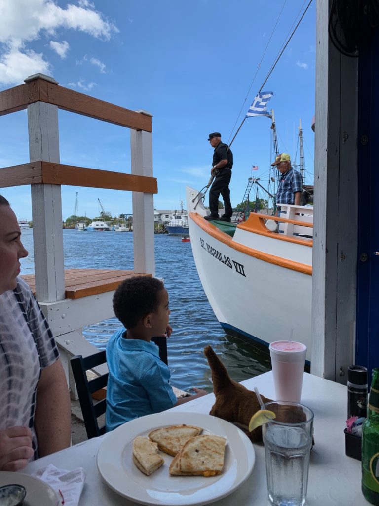 Tarpon Springs, captain docking his boat.