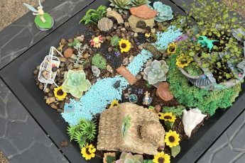 Fairy Garden