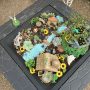 Fairy Garden